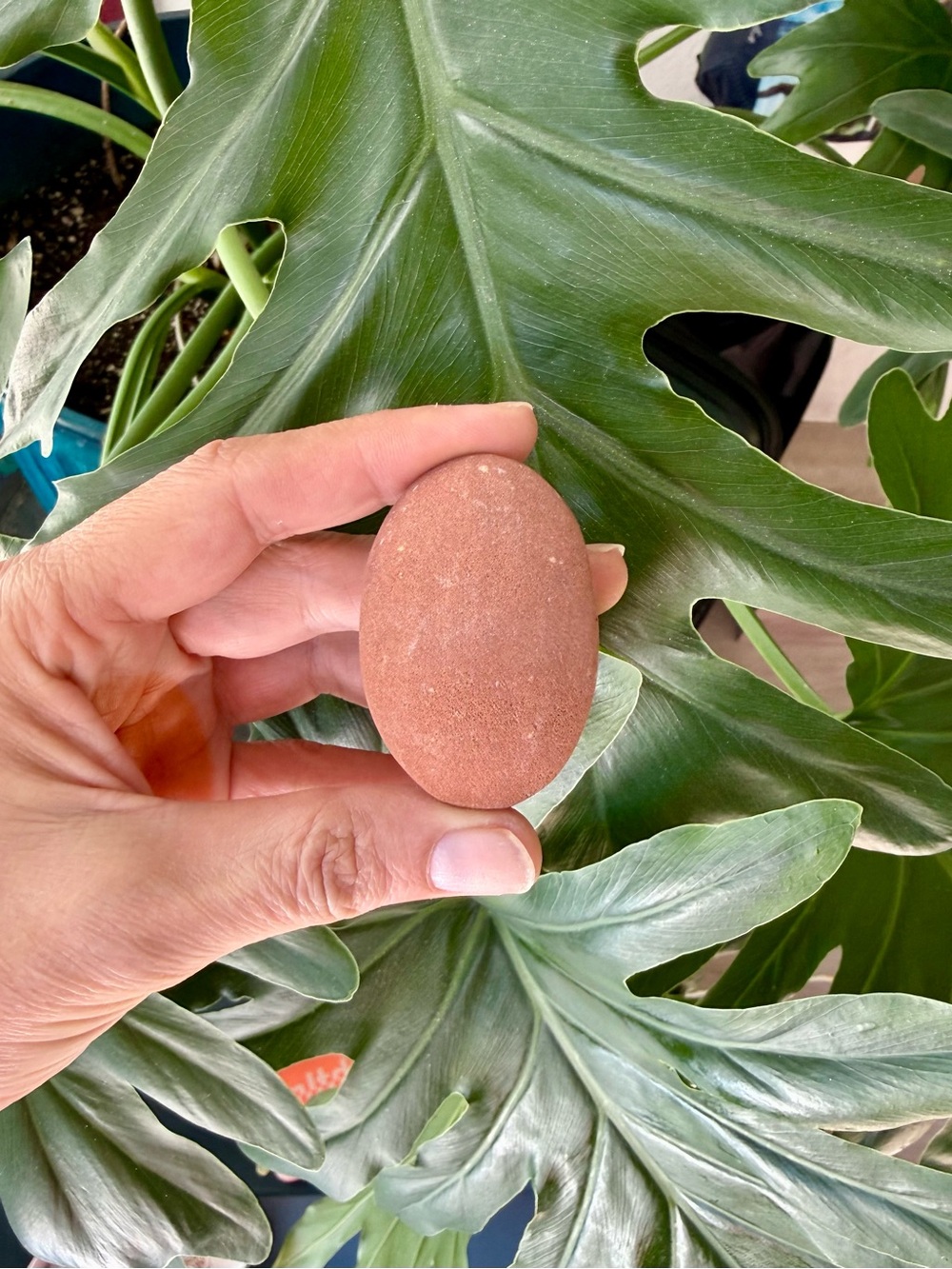 Sedona Palmstone